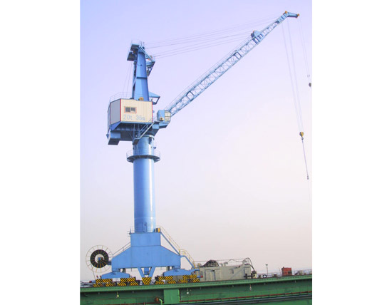 30t Portal Crane using for Floating Shipyard